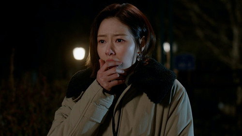 Episode 29: Anna Tries To Convince Soo Chul